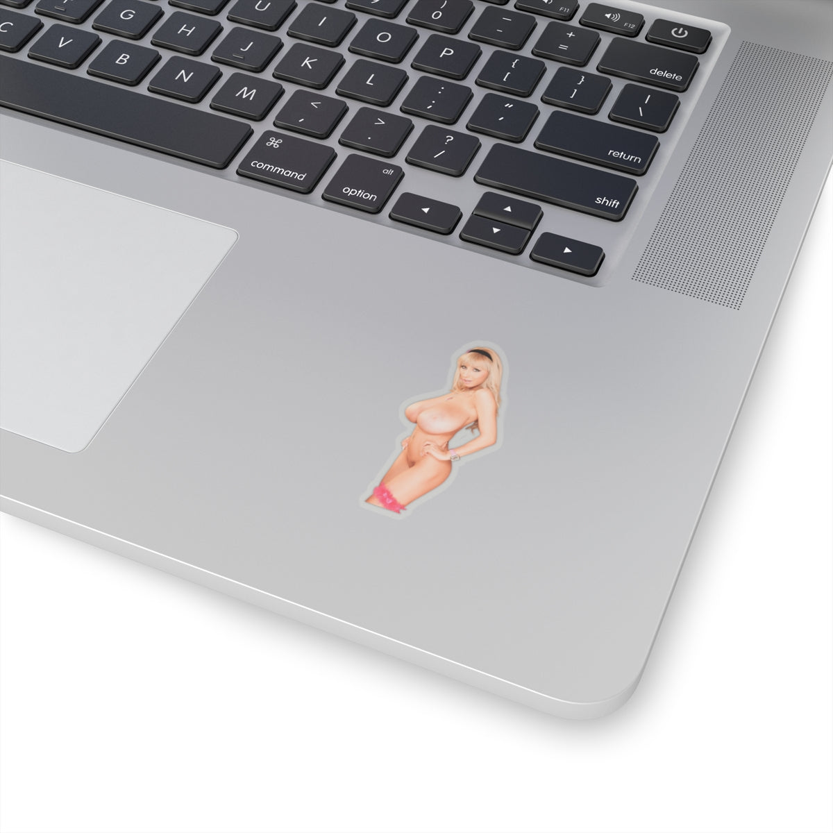 Big Tits Nude Girl Sticker Pinup Stickers