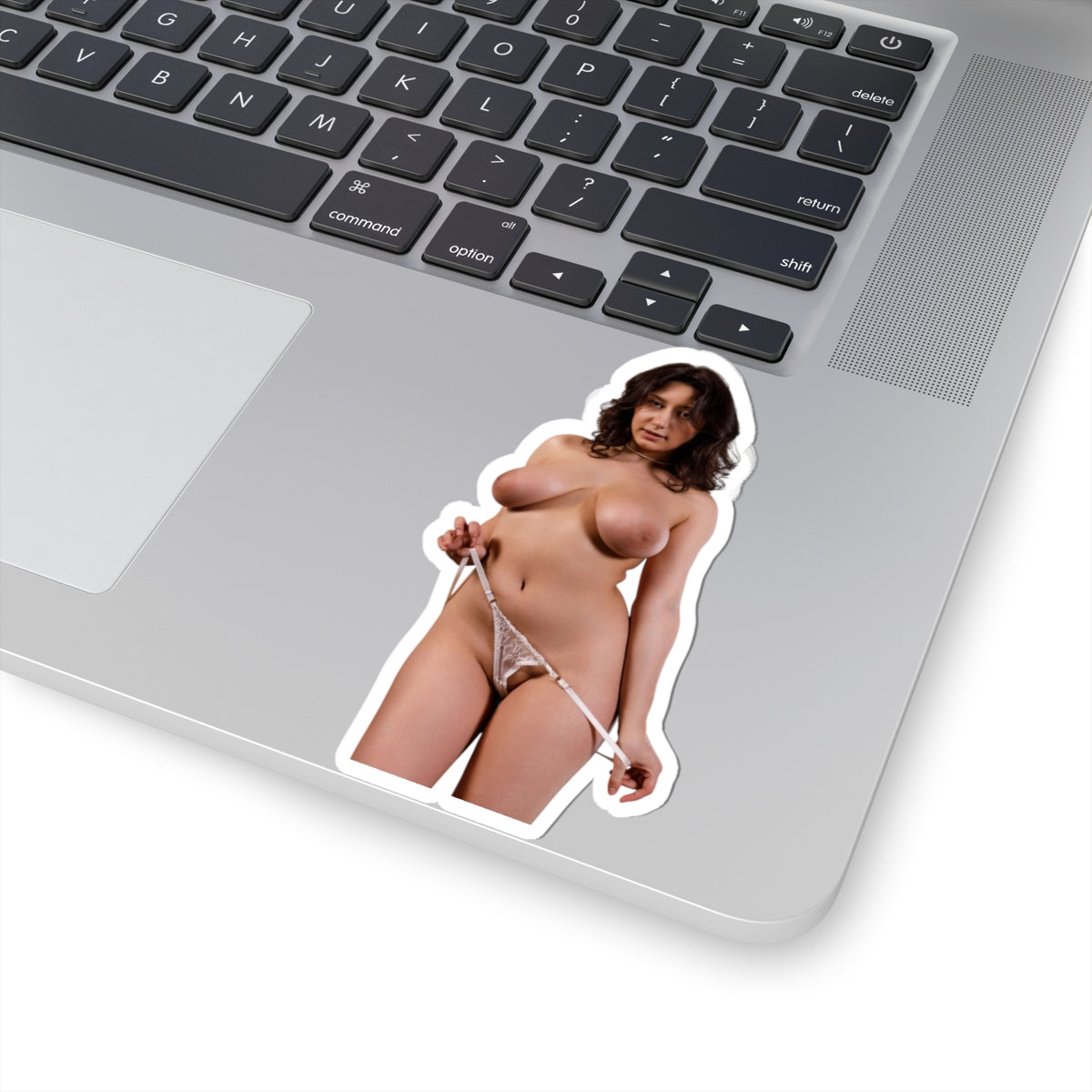 Vintage Sexy Girl Sticker Big Tits Women Erotic Decal