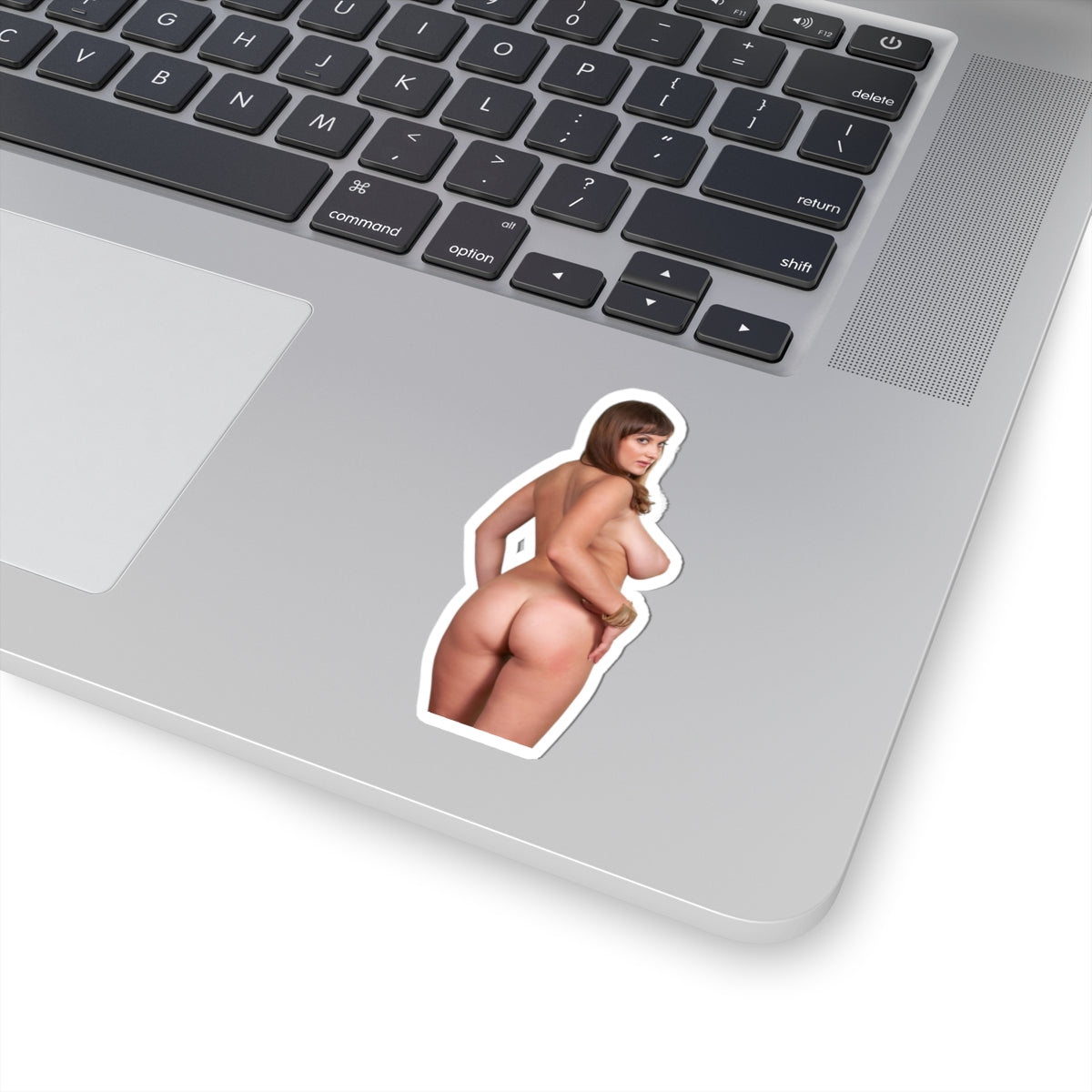 Big Tits Girl Sticker Uncensoerd Stickers For Adults