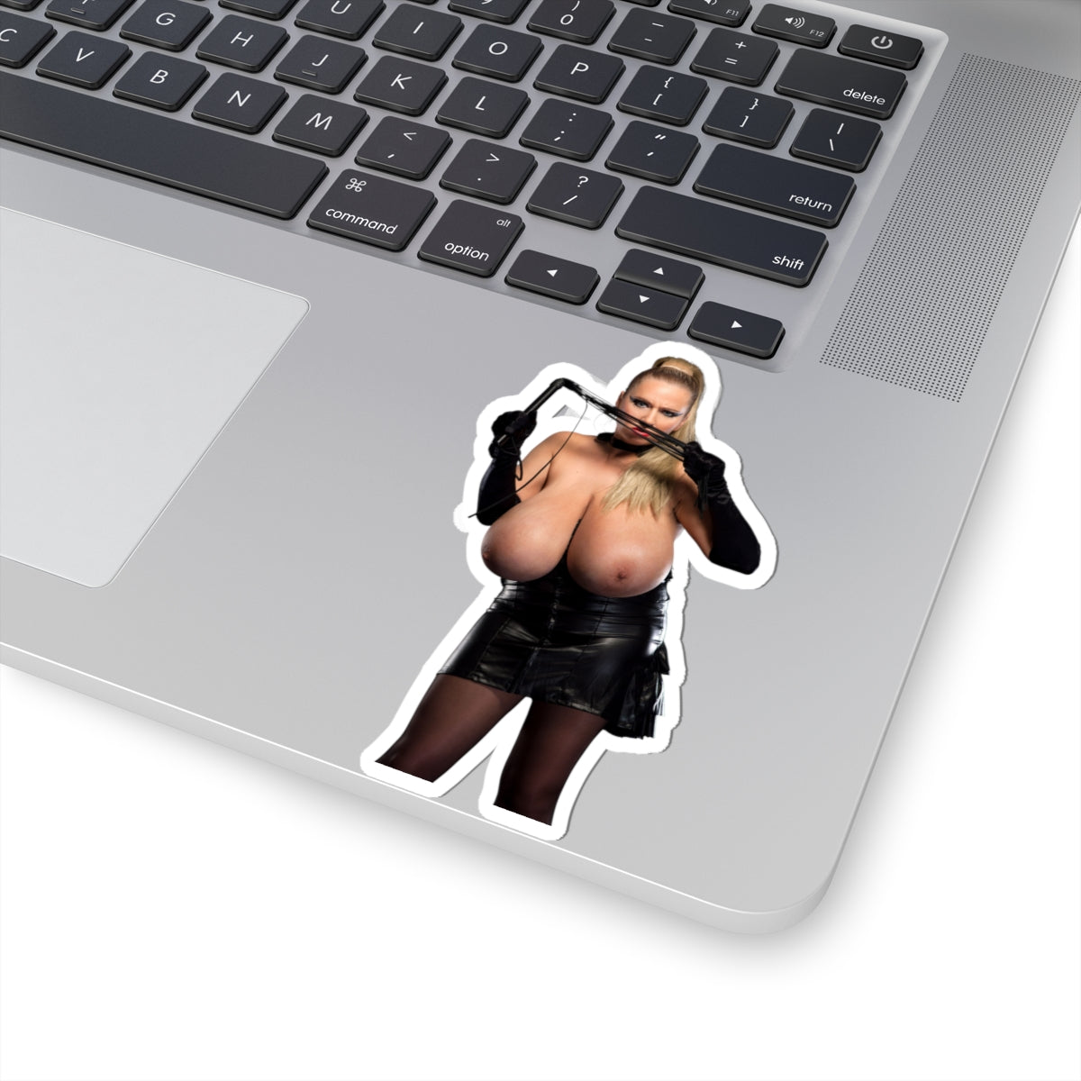 Abbi Secraa Sticker,Full Nude Girl,Big Boobs Pinup Model Stickers,