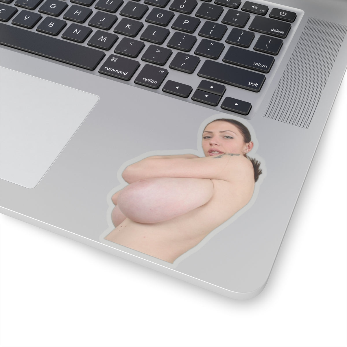 Beautiful Girl Sticker Sexy Women Stickers