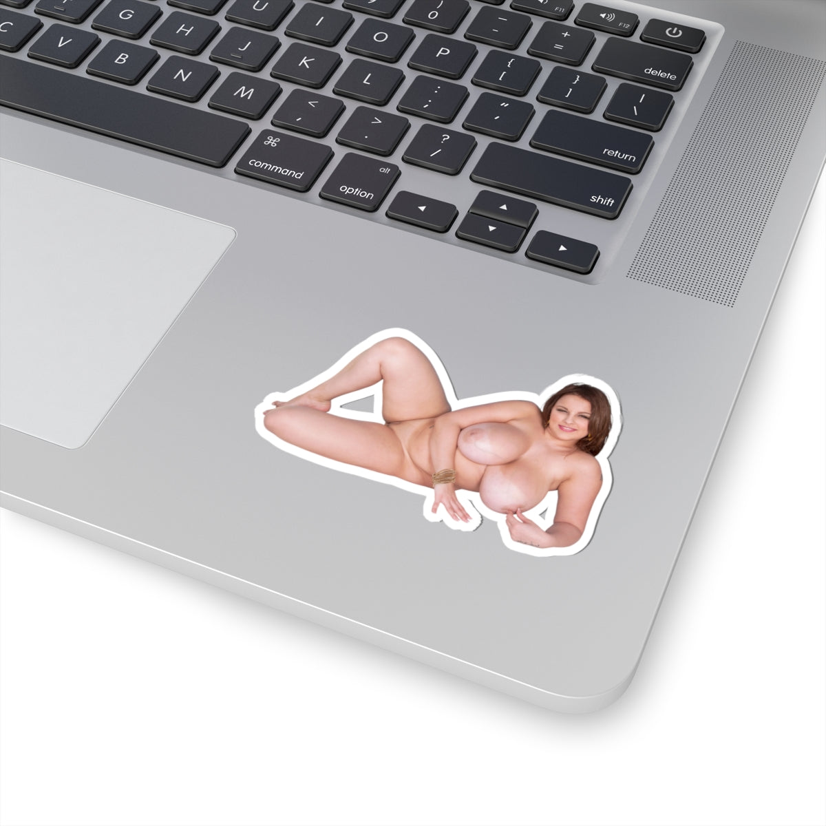 Terri Jane Sticker Big Tits Girl Stickers