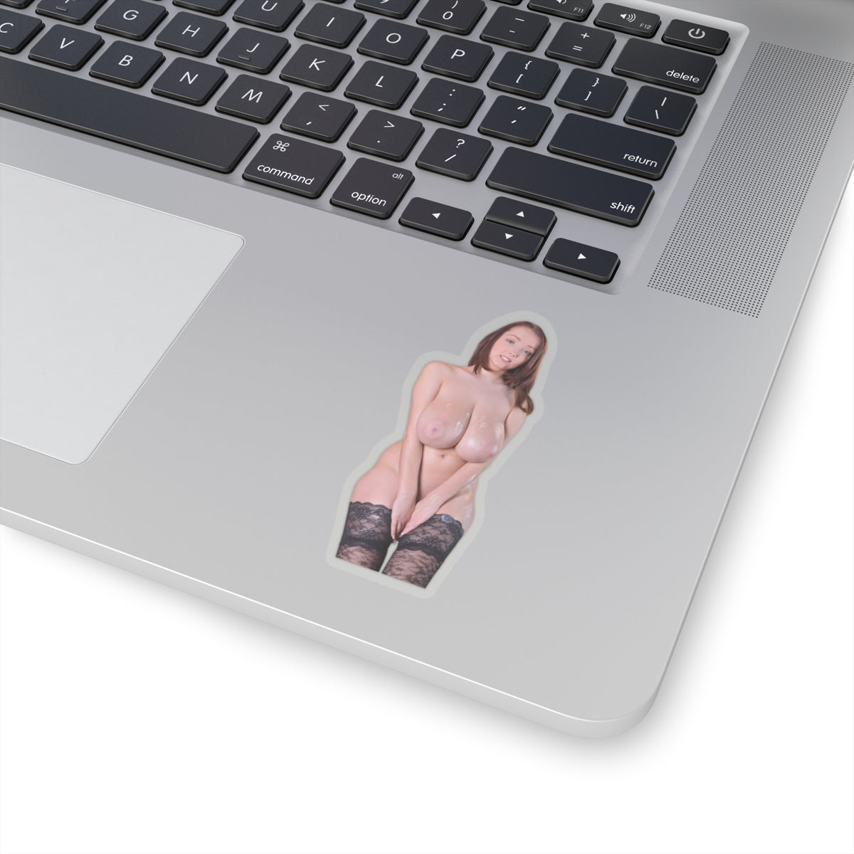 Busty Buffy Sticker Big Breast Girl Stickers
