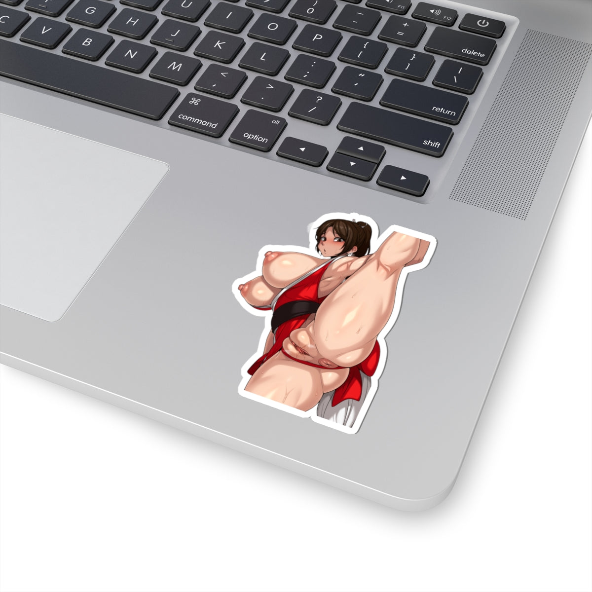 Manga Anime Women Sticker Hentai Stickers