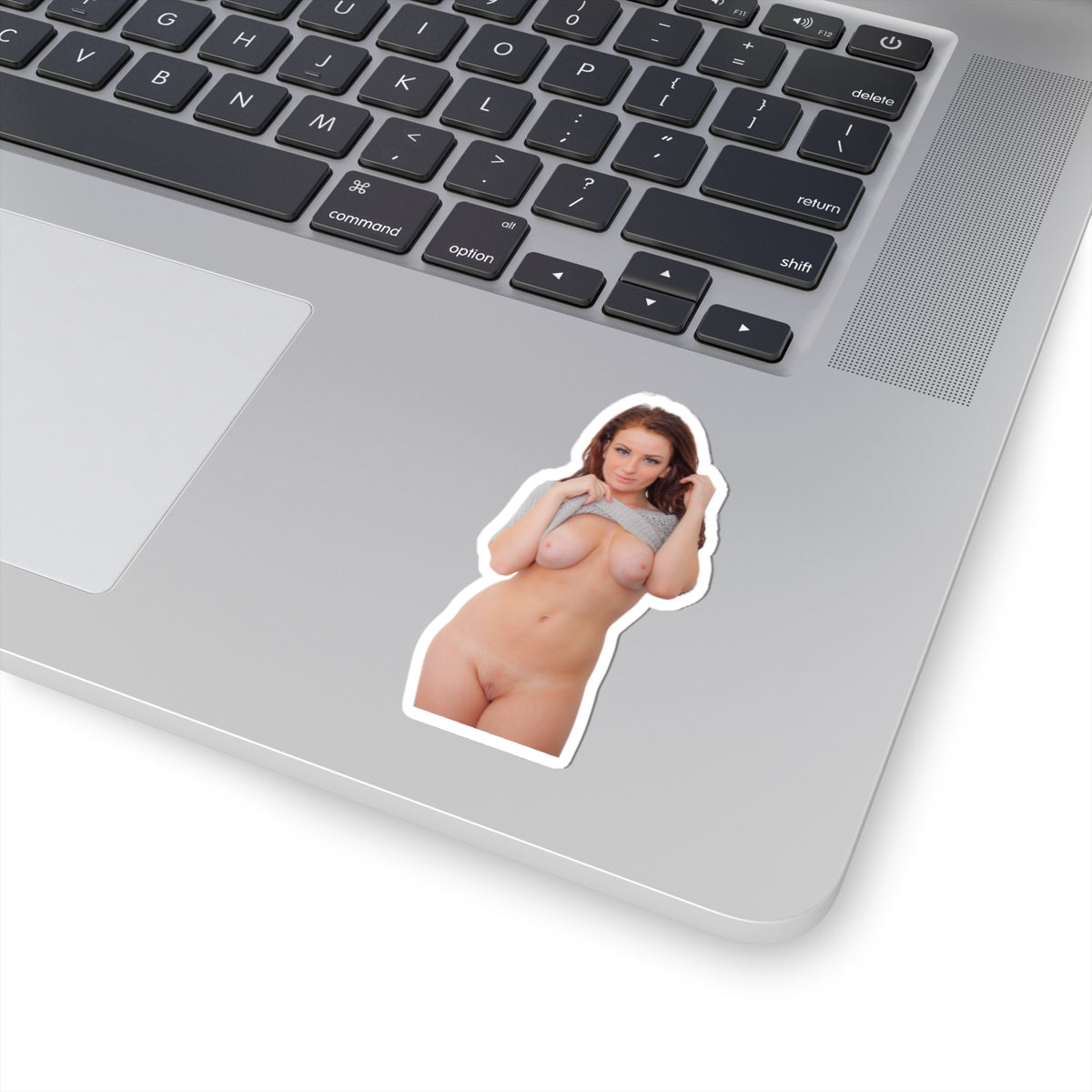 Sexy Girl Sticker Naked Pinup Women Stickers