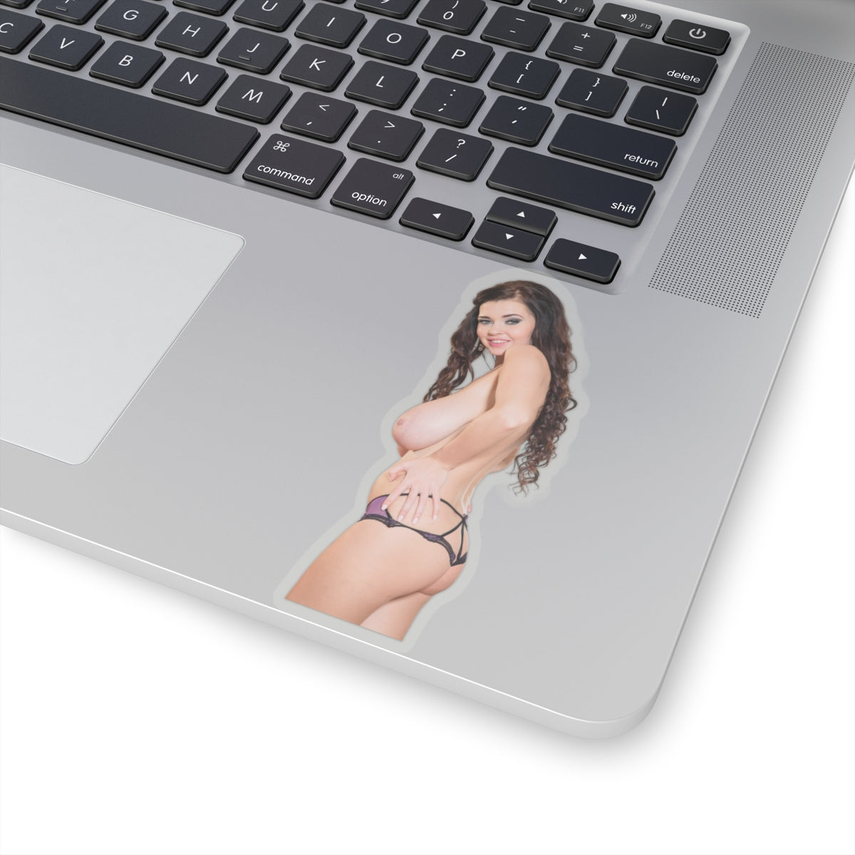 Big Boobs Sexy Girl Sticker Adult Stickers