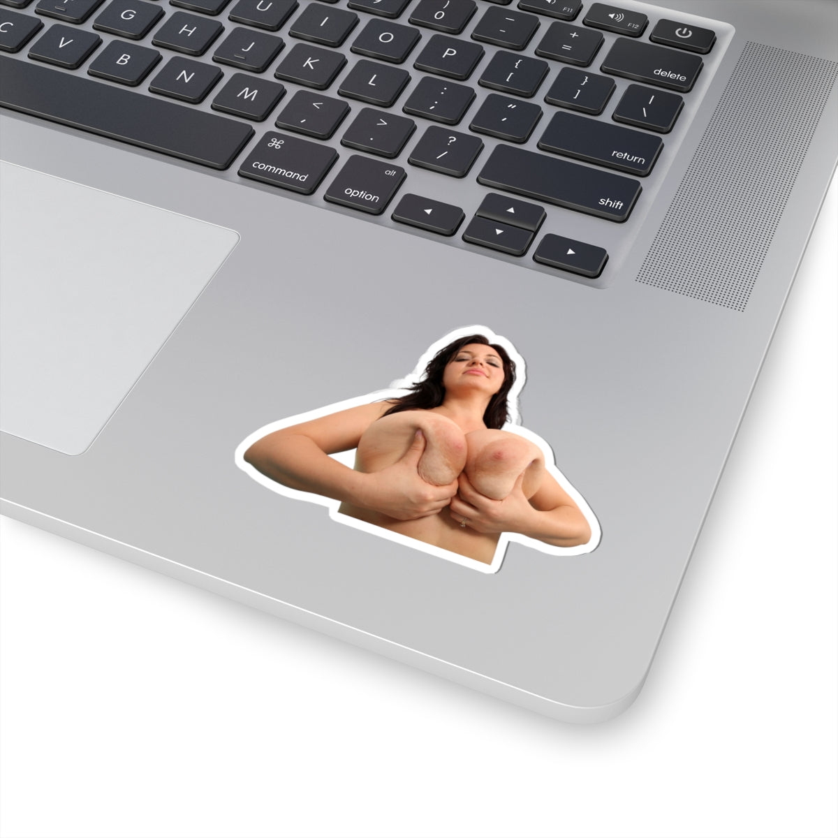 Tits Girl Sticker