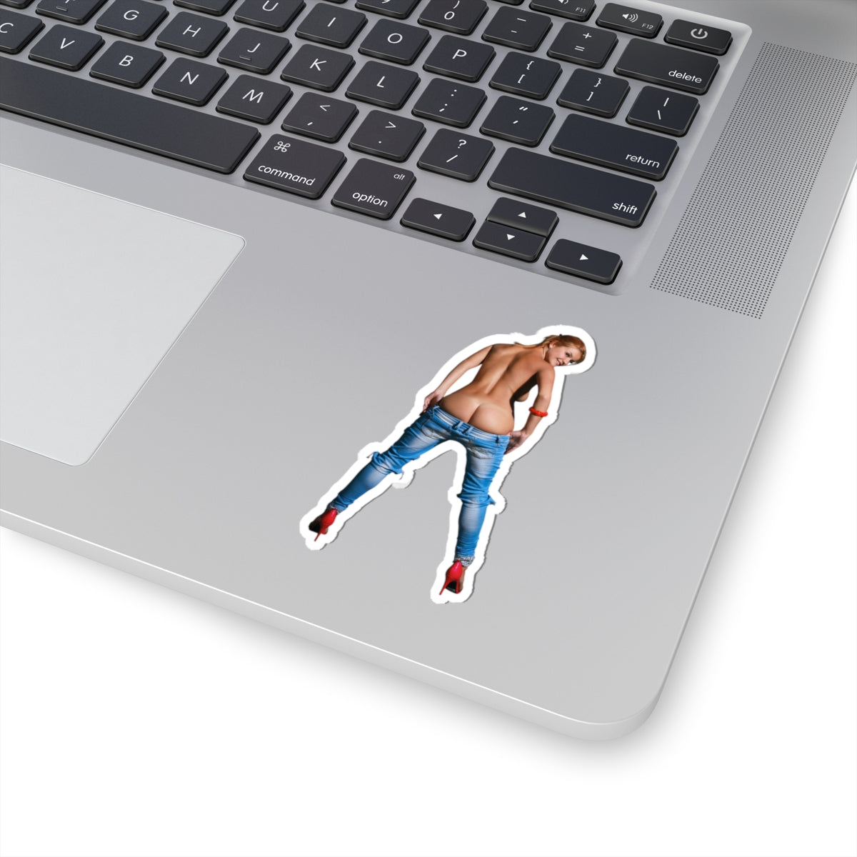 Pinup Model Sticker Sexy Girl Ass Jeans Uncensored Stickers