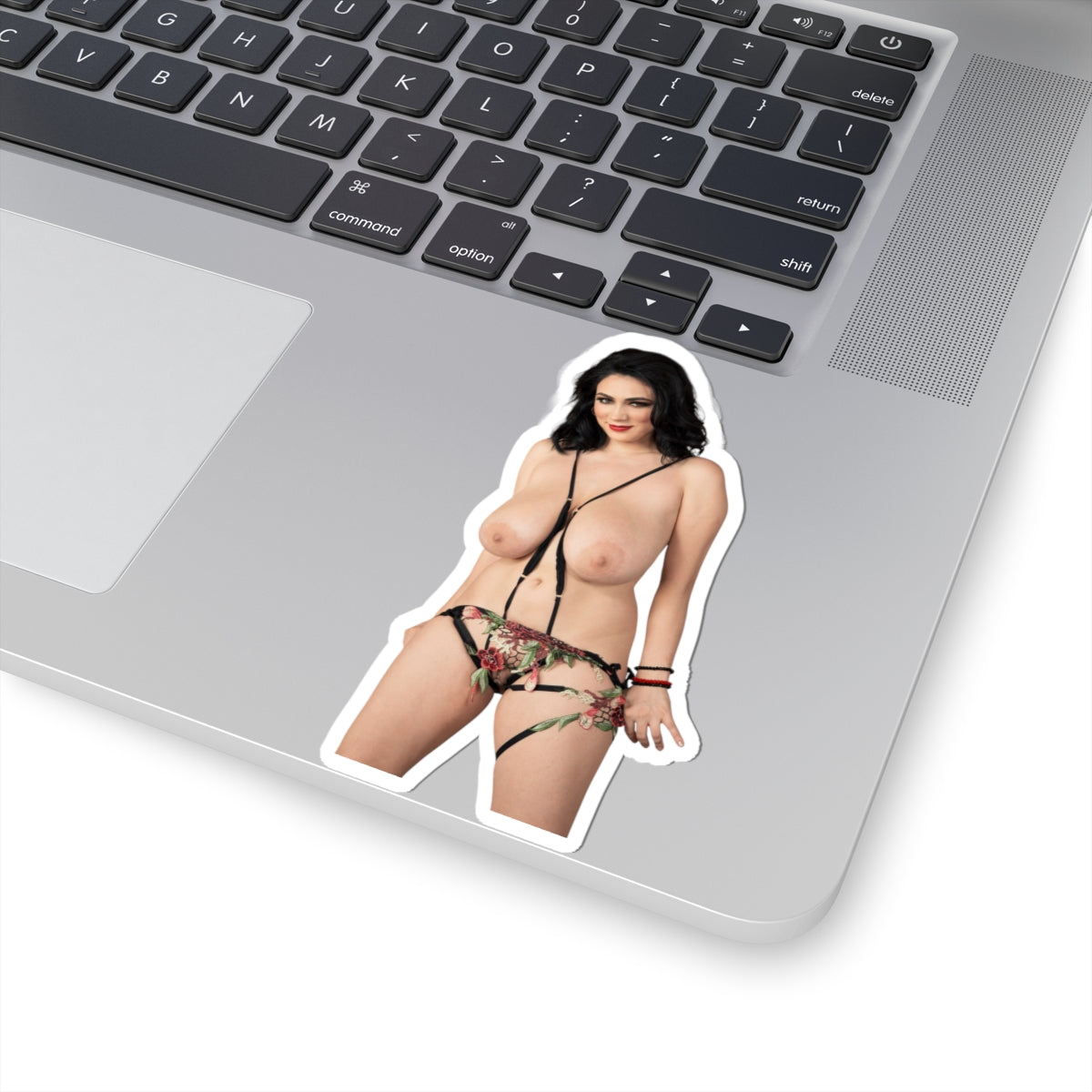 Adult Stickers Big Tits Sexy Girl Sticker