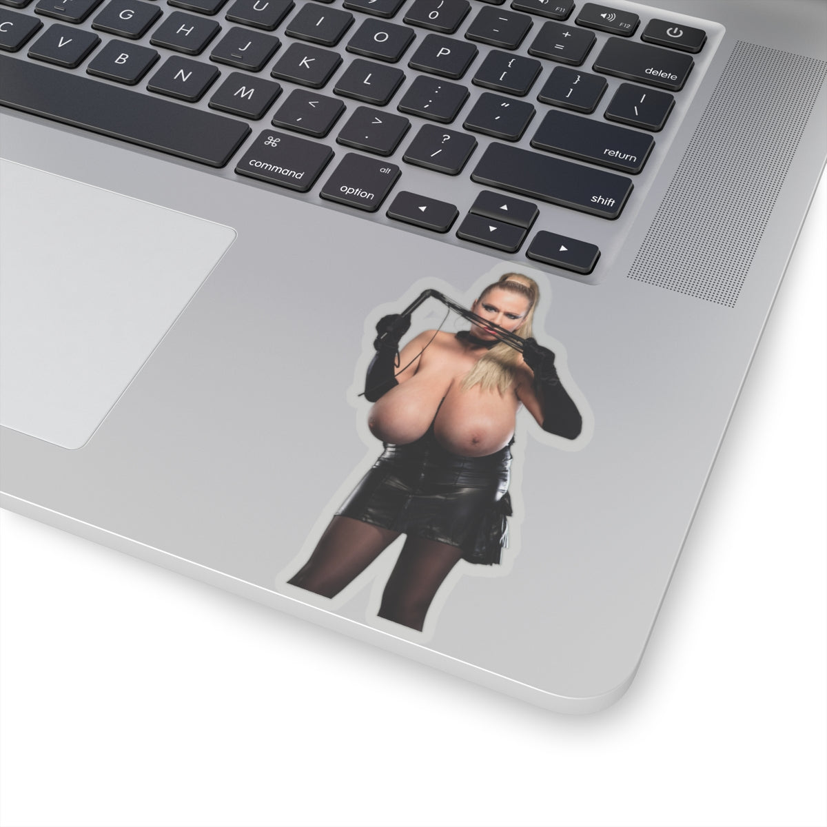 Abbi Secraa Sticker,Full Nude Girl,Big Boobs Pinup Model Stickers,