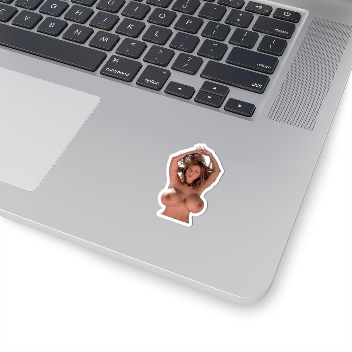 Adult Sexy Girl Sticker Pin-Up Model Nude Beauty Big Tits Vinyl Decor