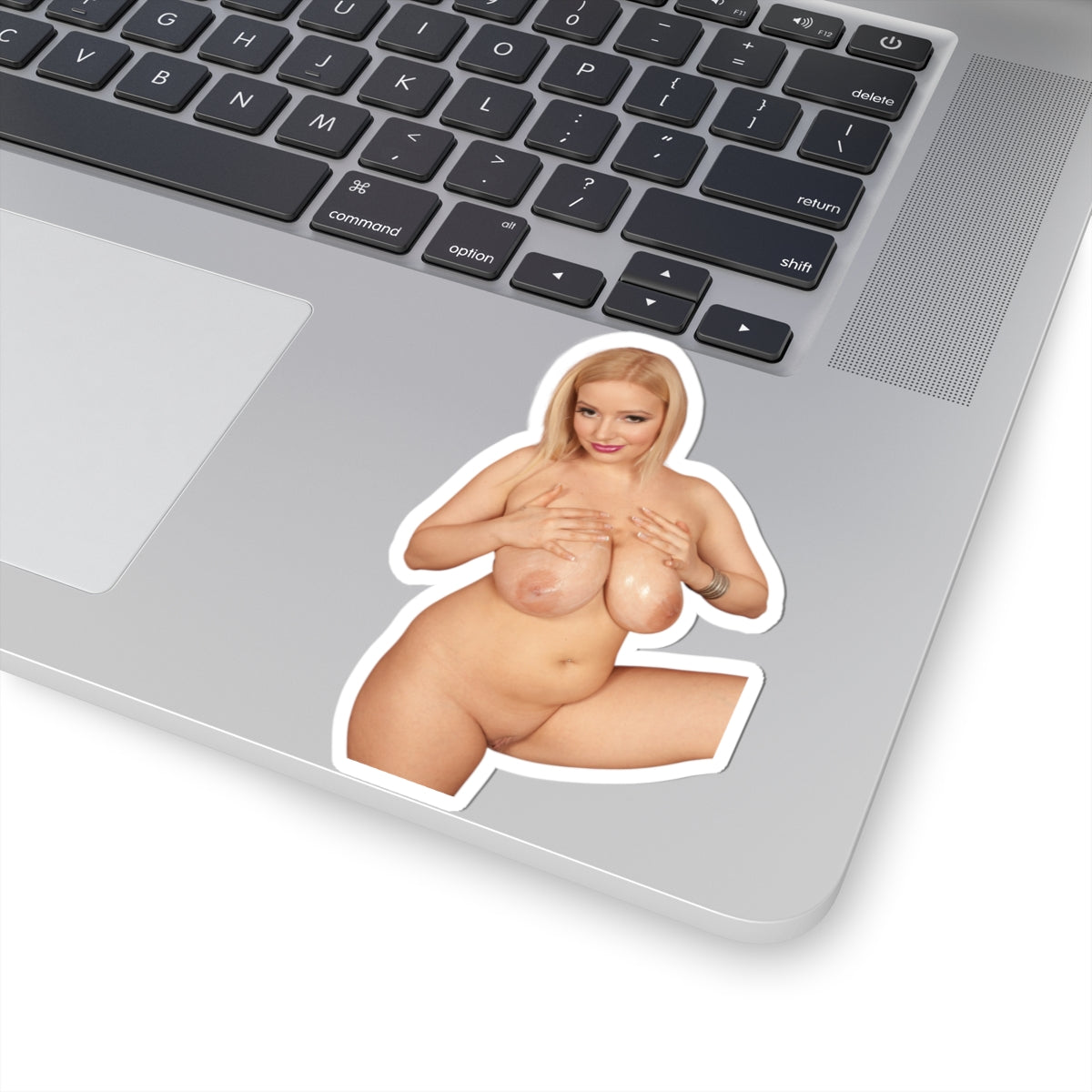 Adult Uncensored Stickers 10