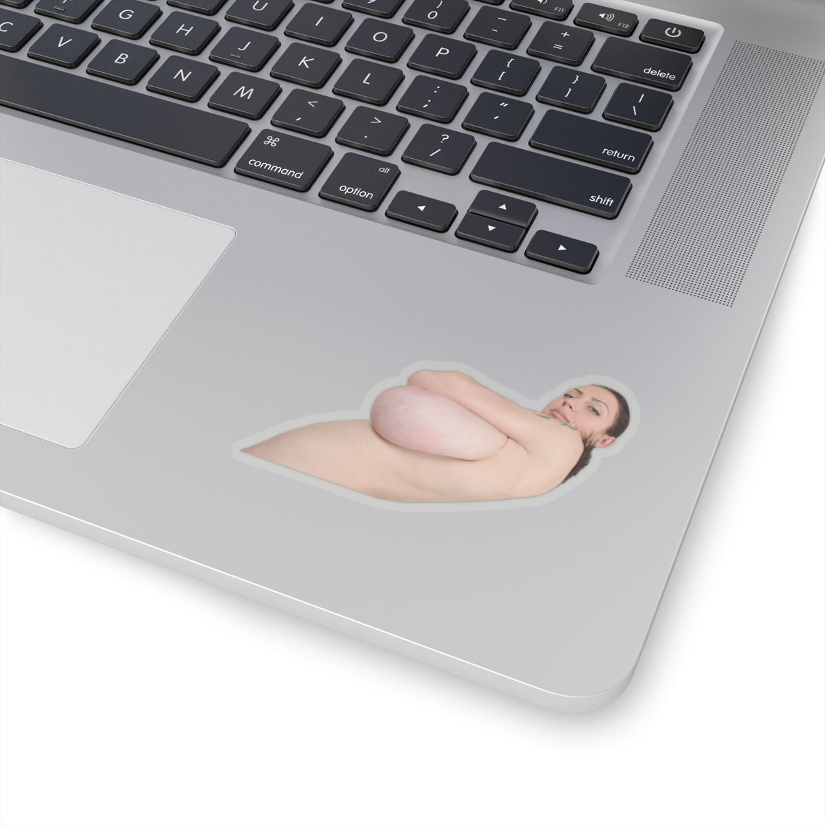 Big Tits Girl Sticker