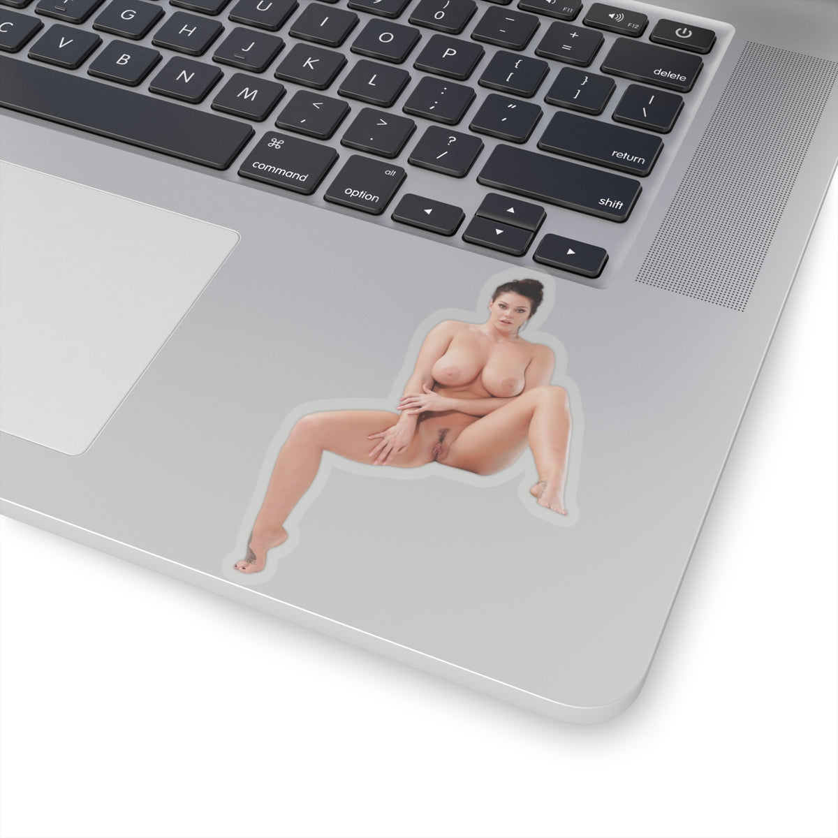 Erotic Sticker Big Tits Pinup Model Stickers