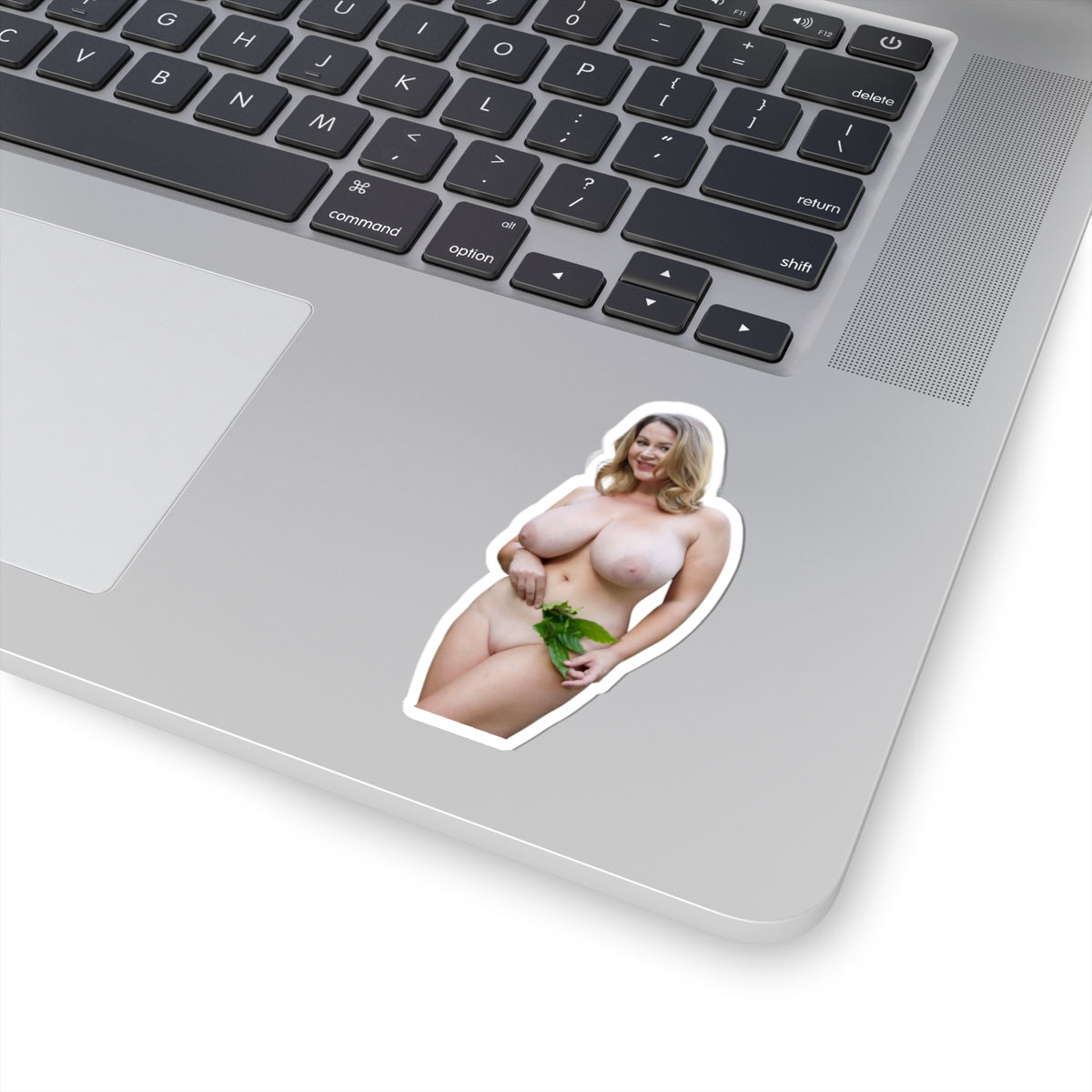 Big Tits Girl Sticker Pinup Model Adult Stickers