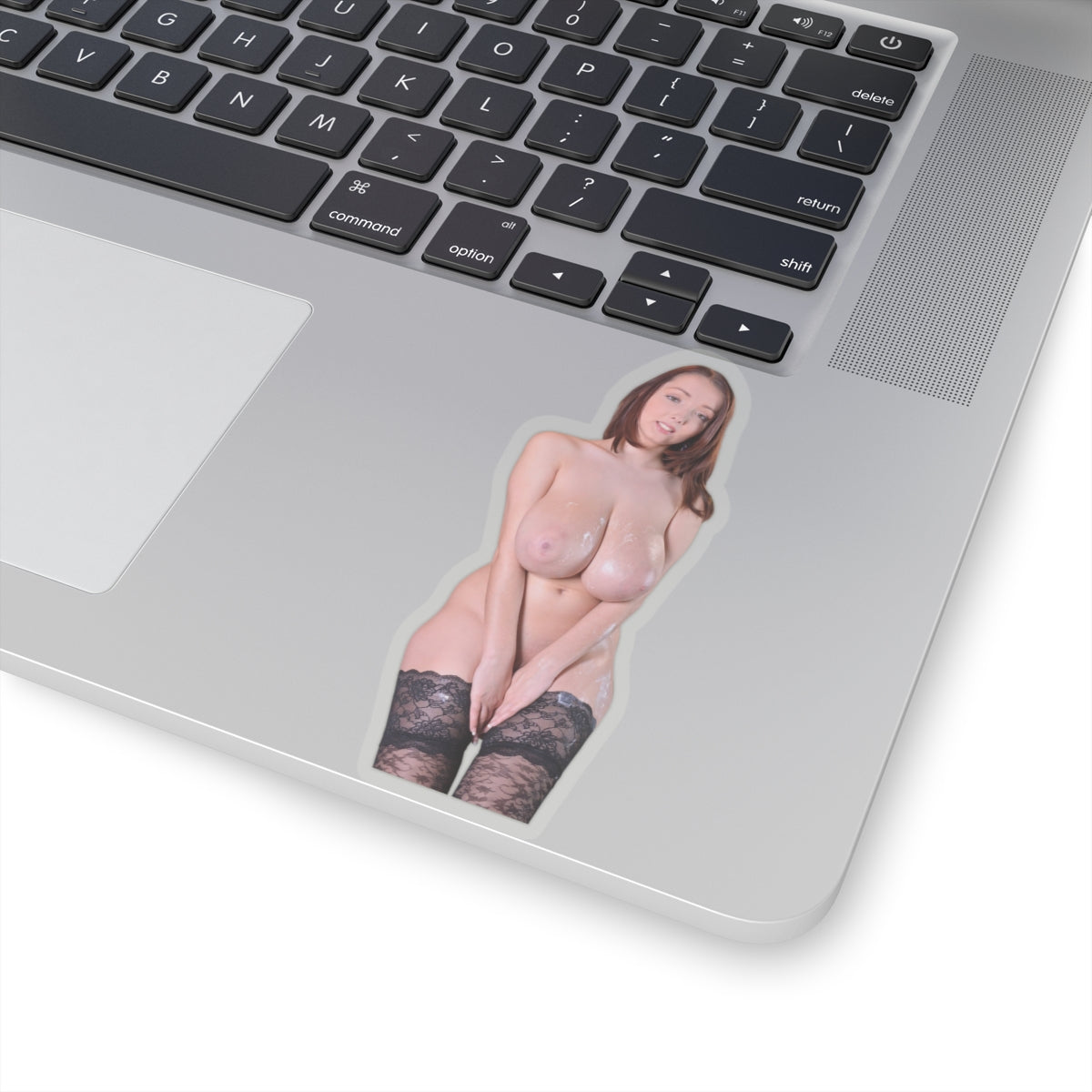 Busty Buffy Sticker Big Breast Girl Stickers