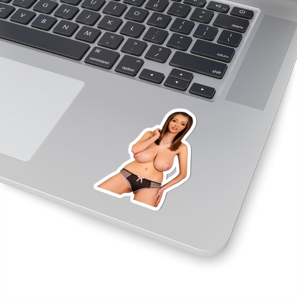 Sexy Busty Woman Decal