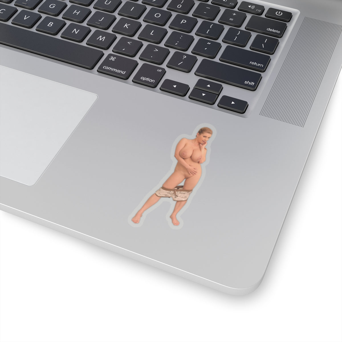 Sexy Big Tits Sticker Boobs Girl Stickers