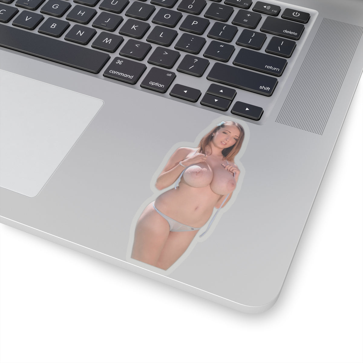 Big Boobs Sexy Pinup Model Sticker