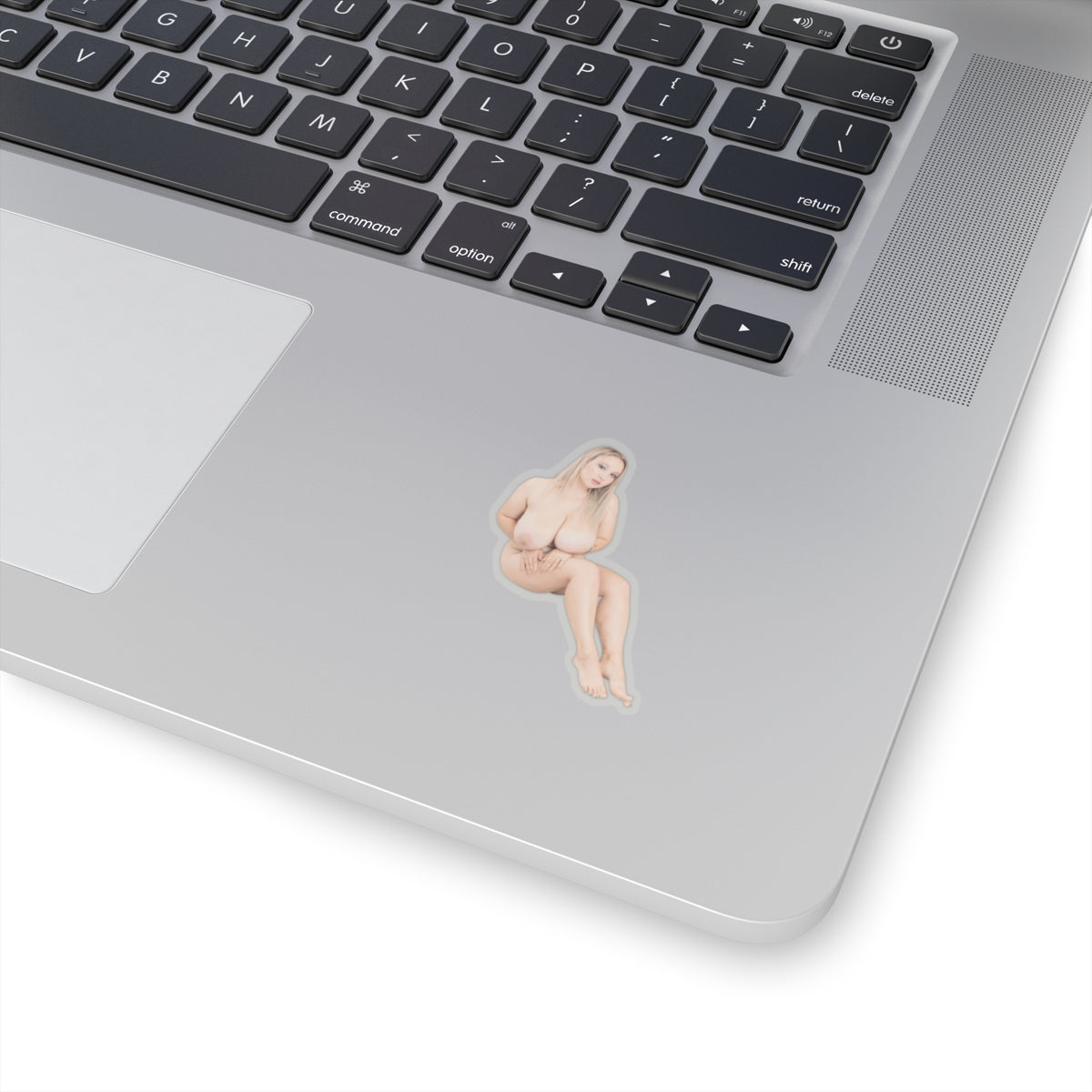 Erotic Sticker Big Tits Pinup Model