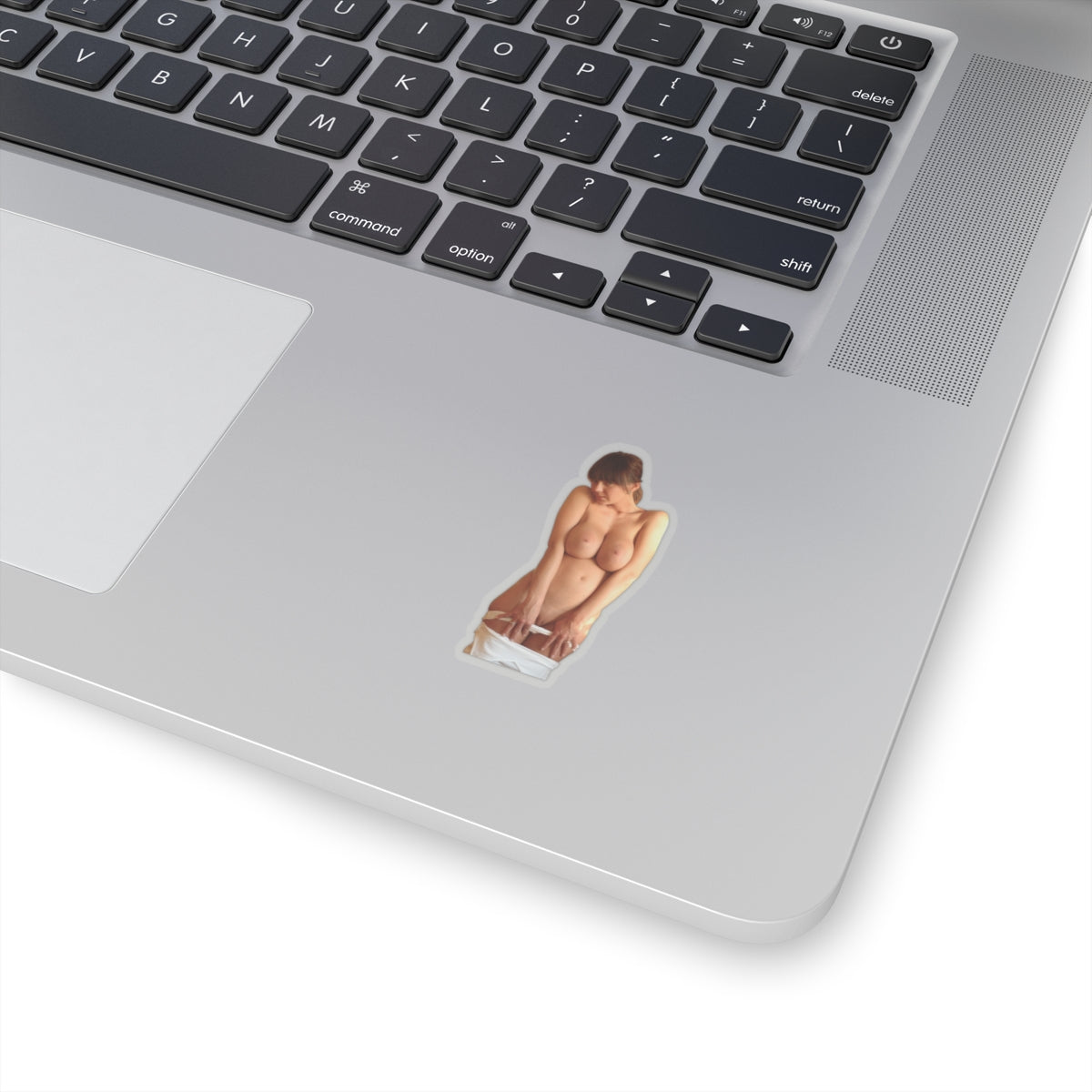 Nude Woman Sticker Funny Adult Gift Vinyl Decal