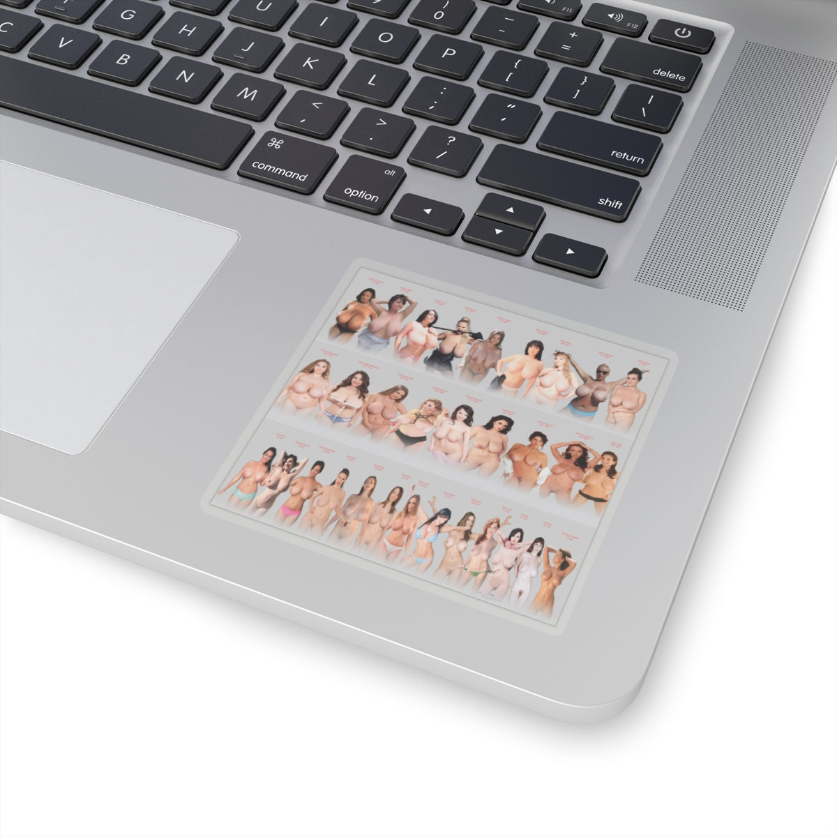 Hot Sexy Girls Sticker Beautiful Women Pretty Girl Lovely Lady Attrctive Female Stickers For Men Sticker For Him,E1006