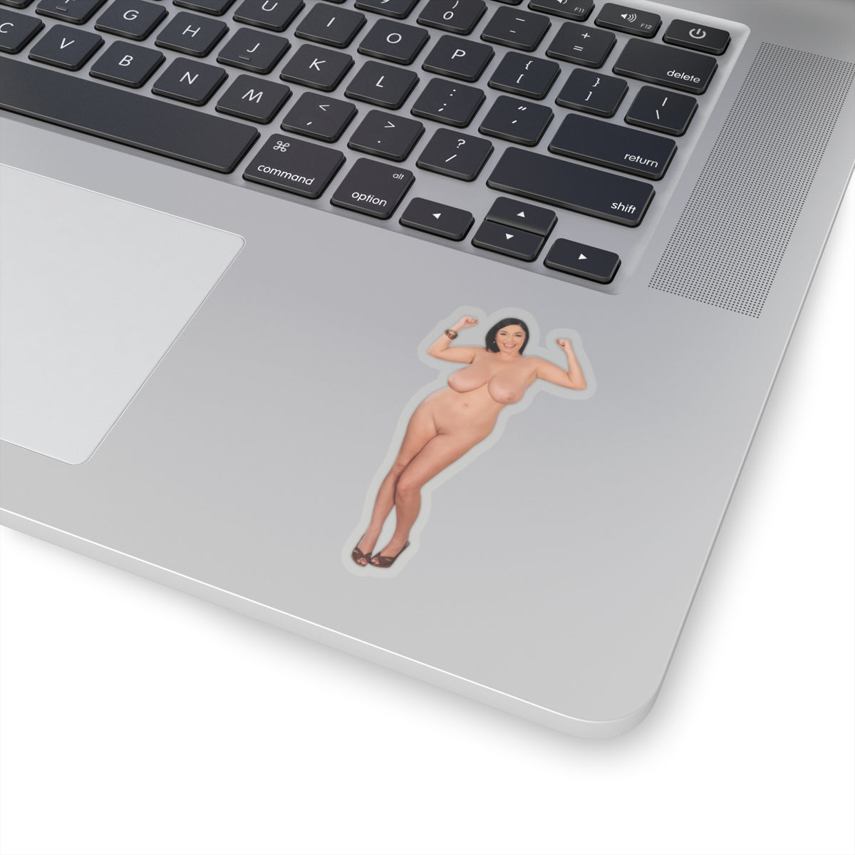 Busty Model Vinyl Decal Sexy Pinup Girl Adult Sticker