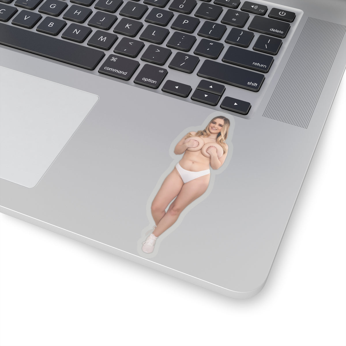 Stunning Women Sticker Beautiful Blond Pinup Stickers Sexy Girl Hot Model Vinyl Transparent or White Stickers E482