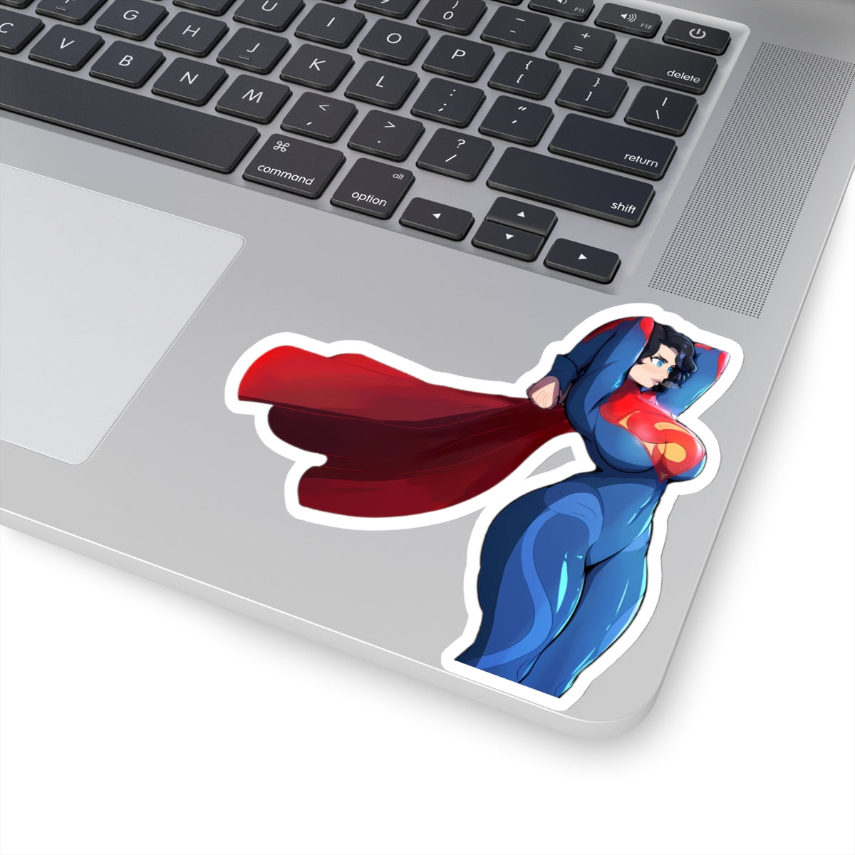 SuperHero Sticker Protector Superhuman Champion Vigilante Protector Anime Cartoon Lewd Stickers E487