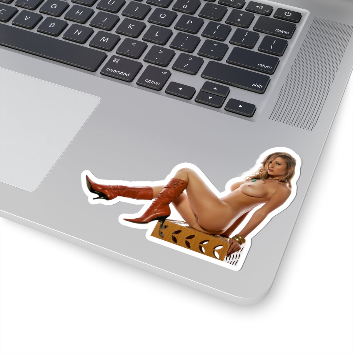 Vintage Pinup Girl Sticker Nude Woman Retro Artwork