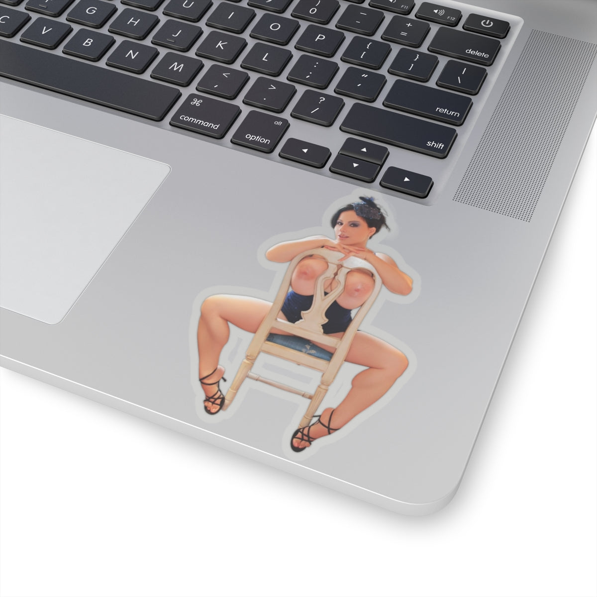 Big Boobs Sexy Naked Women Stickers