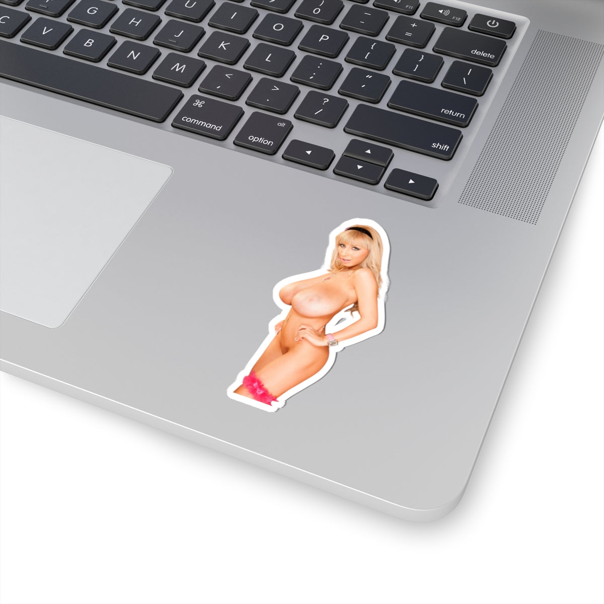 Big Tits Nude Girl Sticker Pinup Stickers