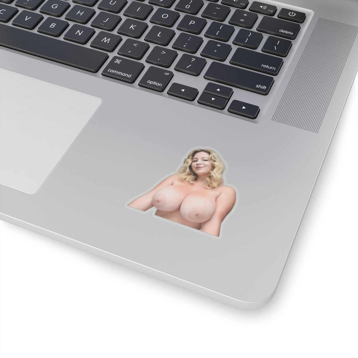 Hot Girl Sticker Big Boobs Women Stickers