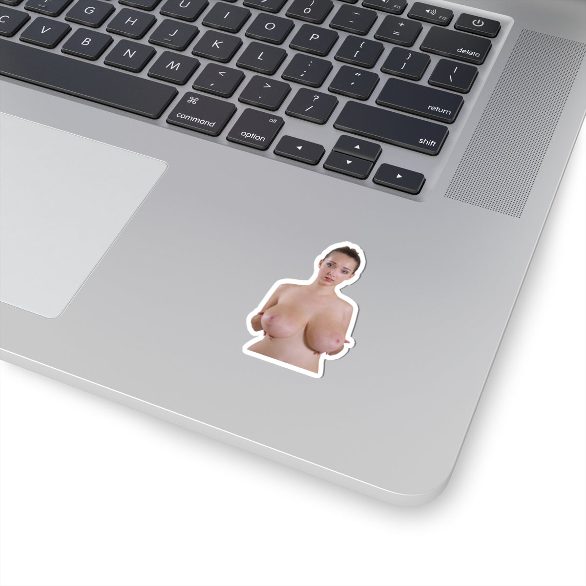 Big Tits Girl Sticker