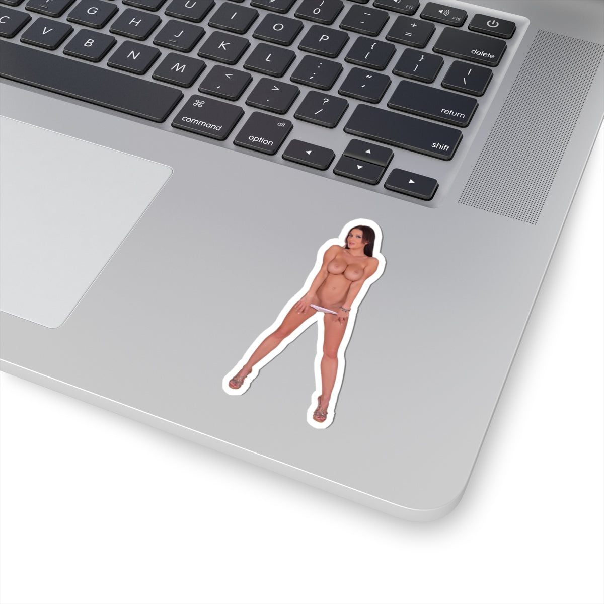 Beautiful Sexy Big Boobs Women Stickers