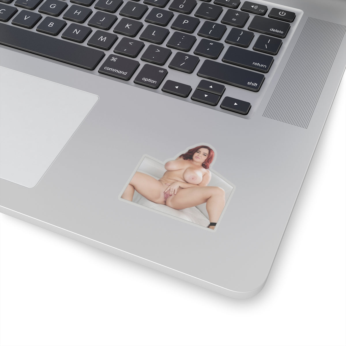 Vintage Sexy Girl Sticker Big Tits Women Decals