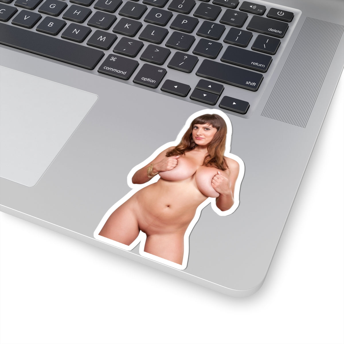 Big Tits Naked Girl Sticker Uncensoerd Stickers For Adults
