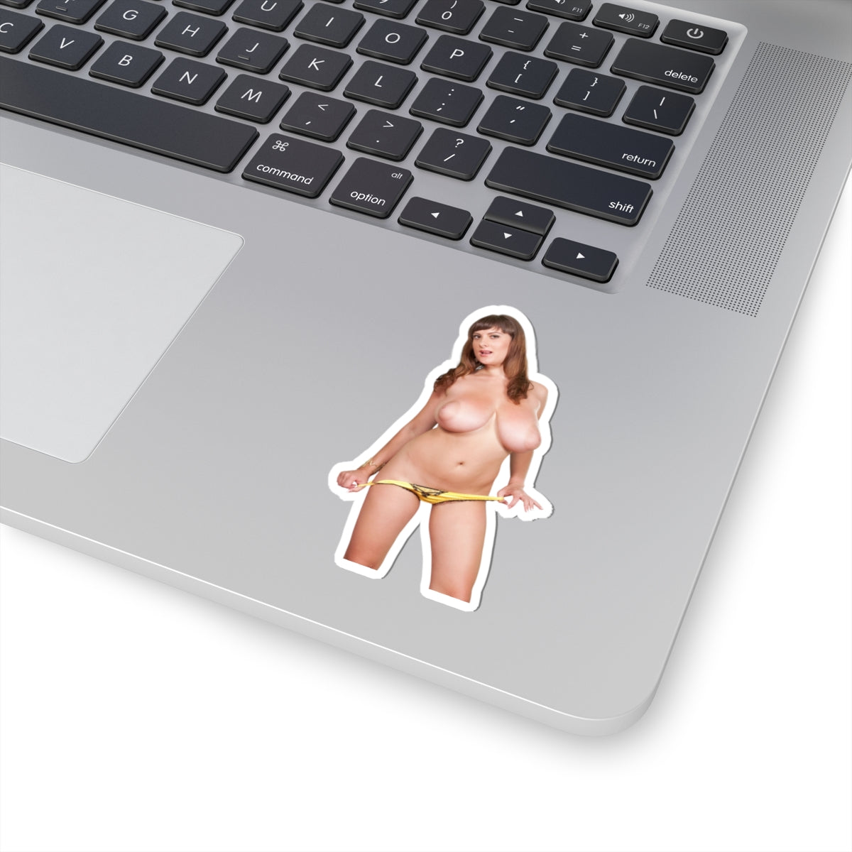 Big Tits Topless Girl Sticker Uncensoerd Stickers For Adults