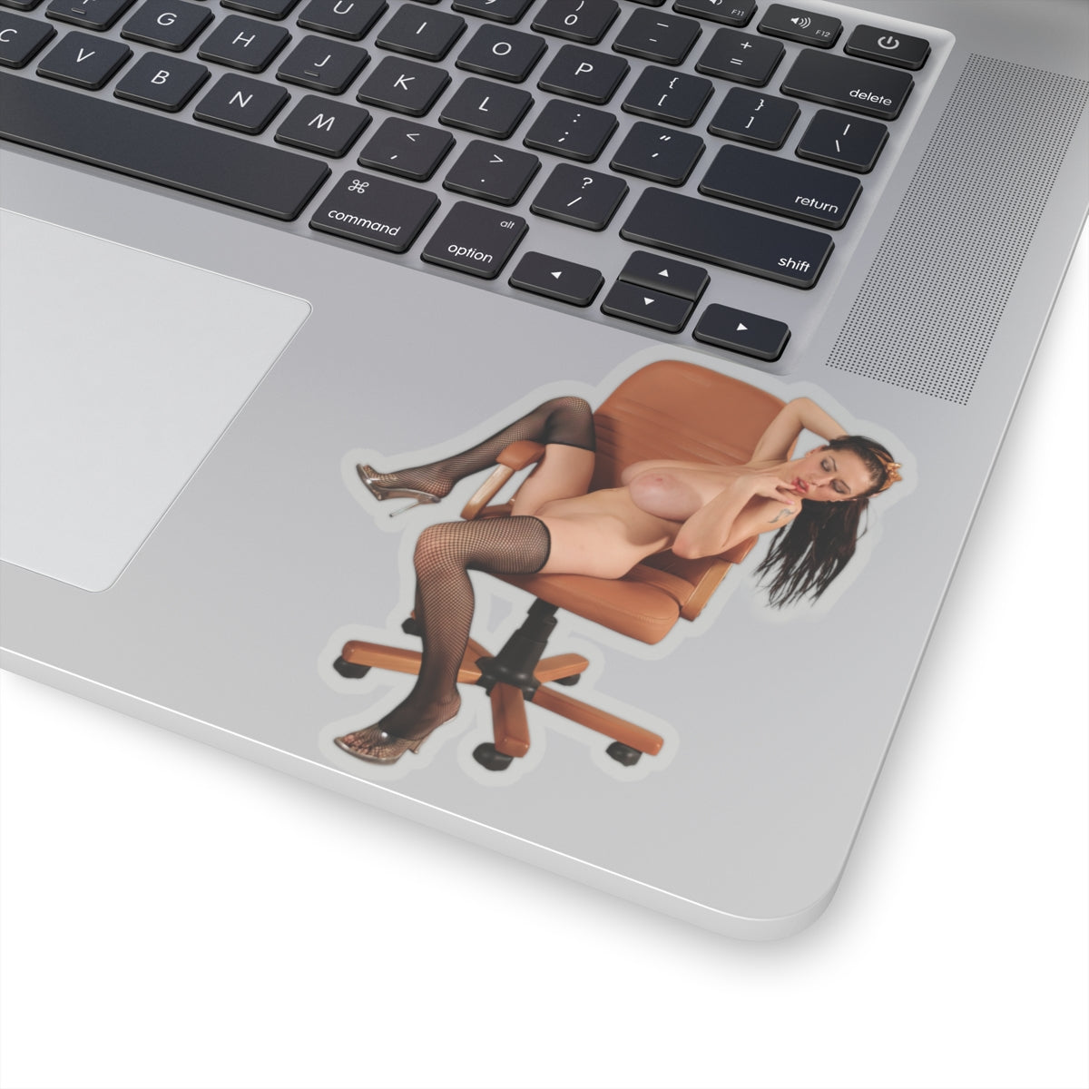Mature Pinup Girl Decals Big Tits Sexy Women Boobs Sticker Pack