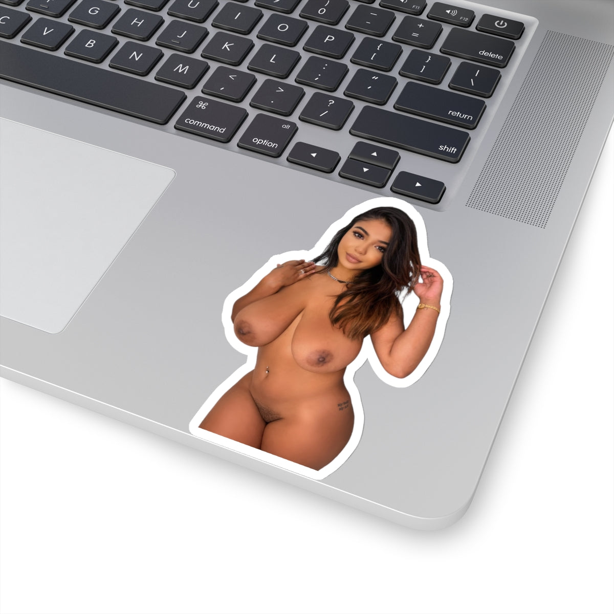 AA Beautiful Naked Model,Hot Girl,Sexy Women Sticker,Adult Stickers,Uncensored Sticker,Mature,Pinup Girl,Big Sticker,E339