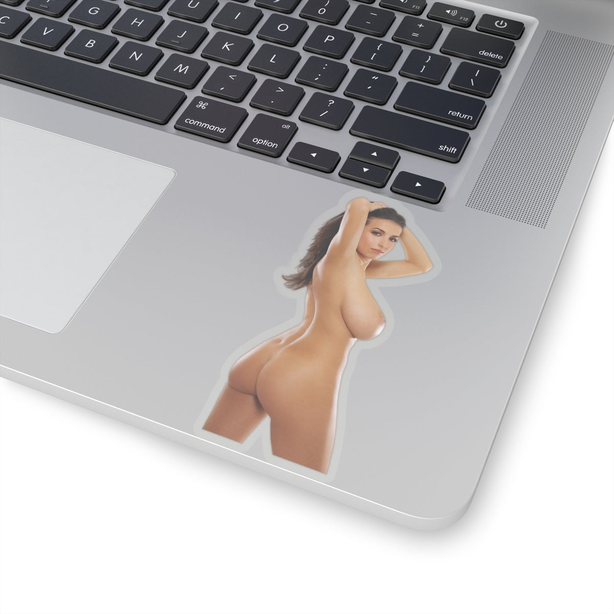 Nude Pinup Girl Beautiful Butt Women Sexy Naked Woman Adult Mature Sticker Vinyl Stickers E427