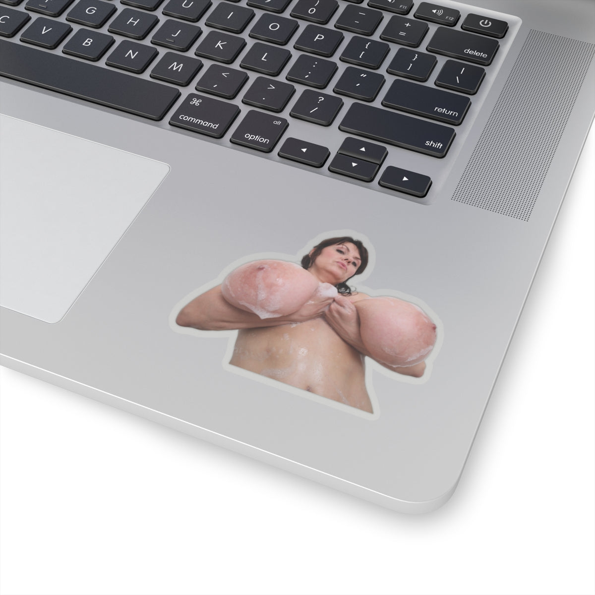 Big Tits Sexy Women Sticker