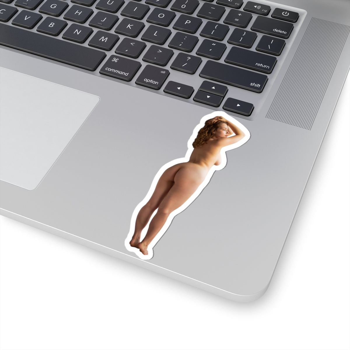 Pinup Model Sticker Hot Girl Stickers Nude Sexy Women