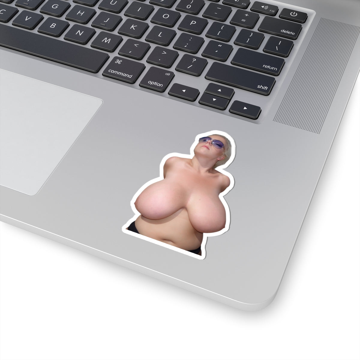 Agnetis Miracle Sticker Big Tits Model Stickers