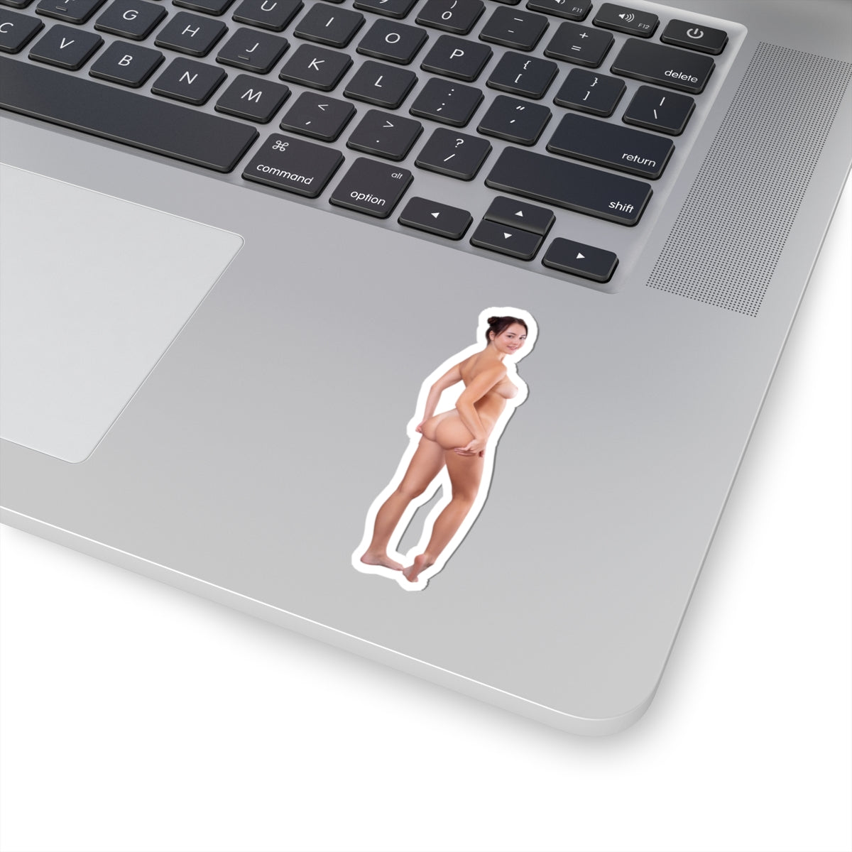 Pinup Stickers Sexy Nude Ass Women Sticker