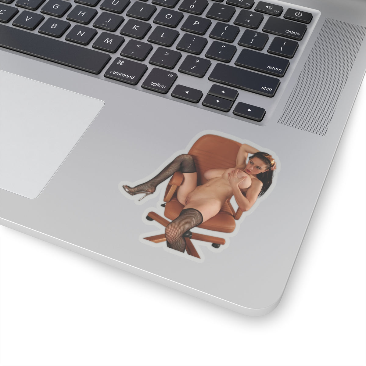 Adult Pinup Woman Sticker Big Boobs Sexy Girl Decal Collection Stickers