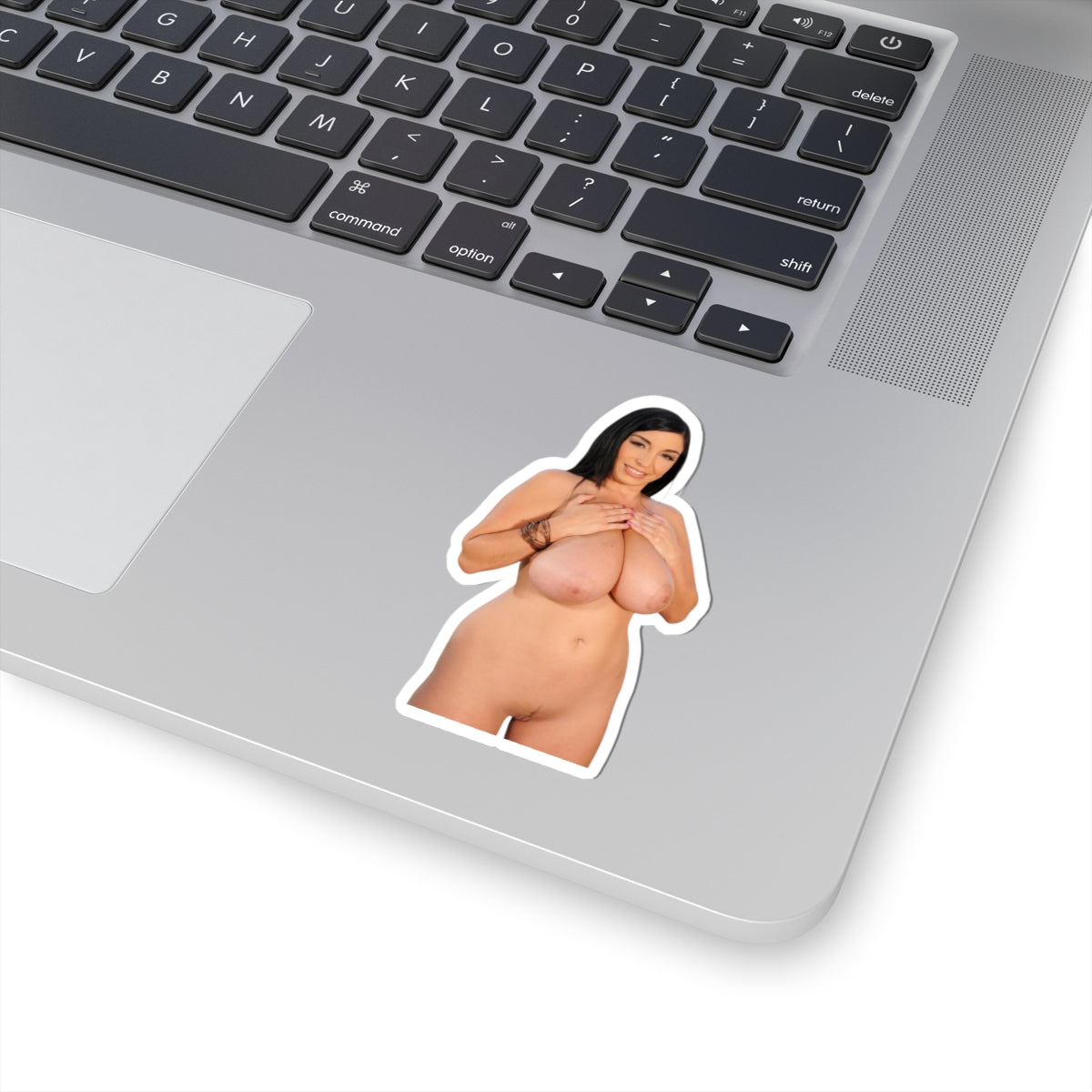 Big Boobs Tits Pinup Model Vinyl Sticker Adult Decals Uncensored Stickers