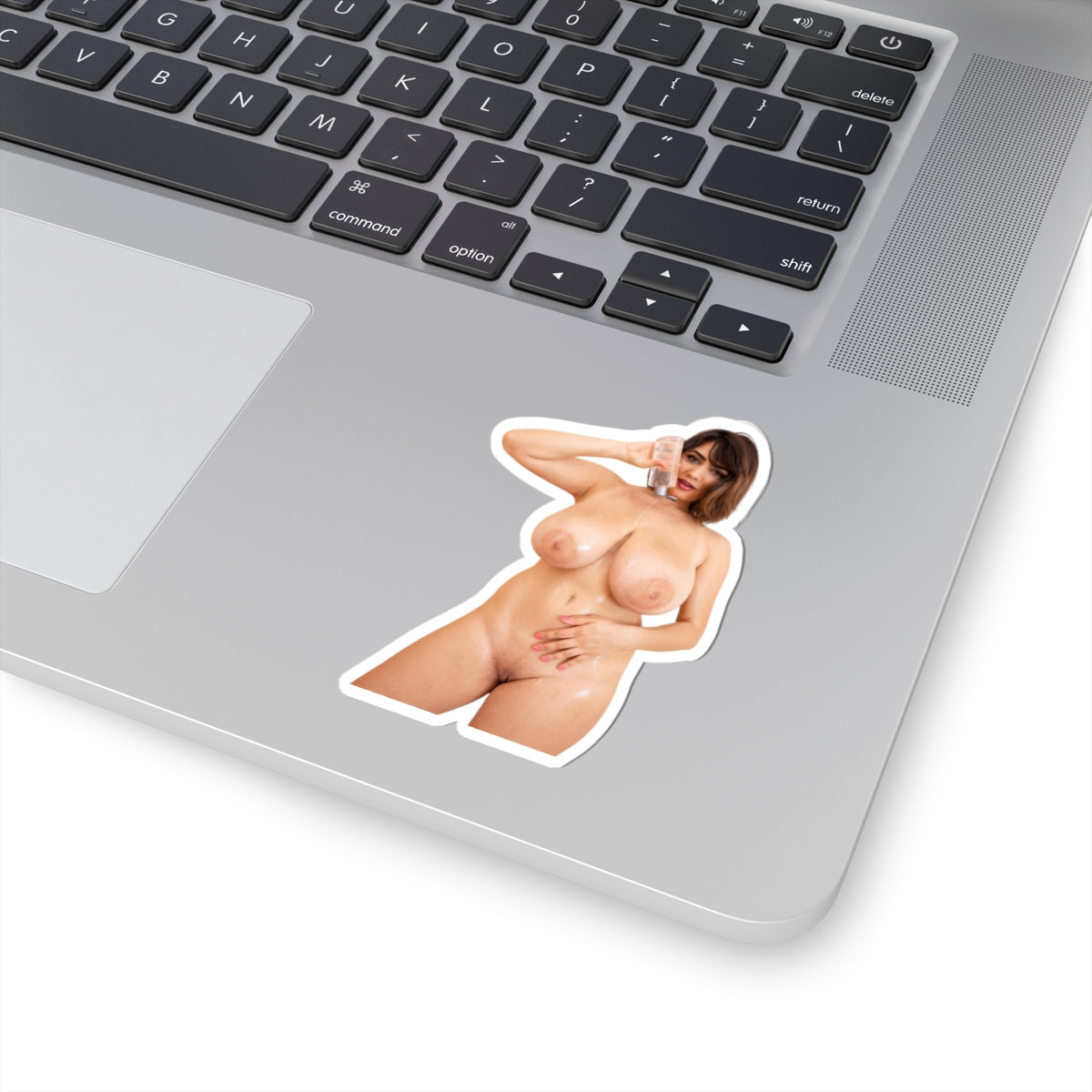 Nude Sexy Woman Sticker Pin-Up Girl Big Tits Vinyl Decal Adult Collection