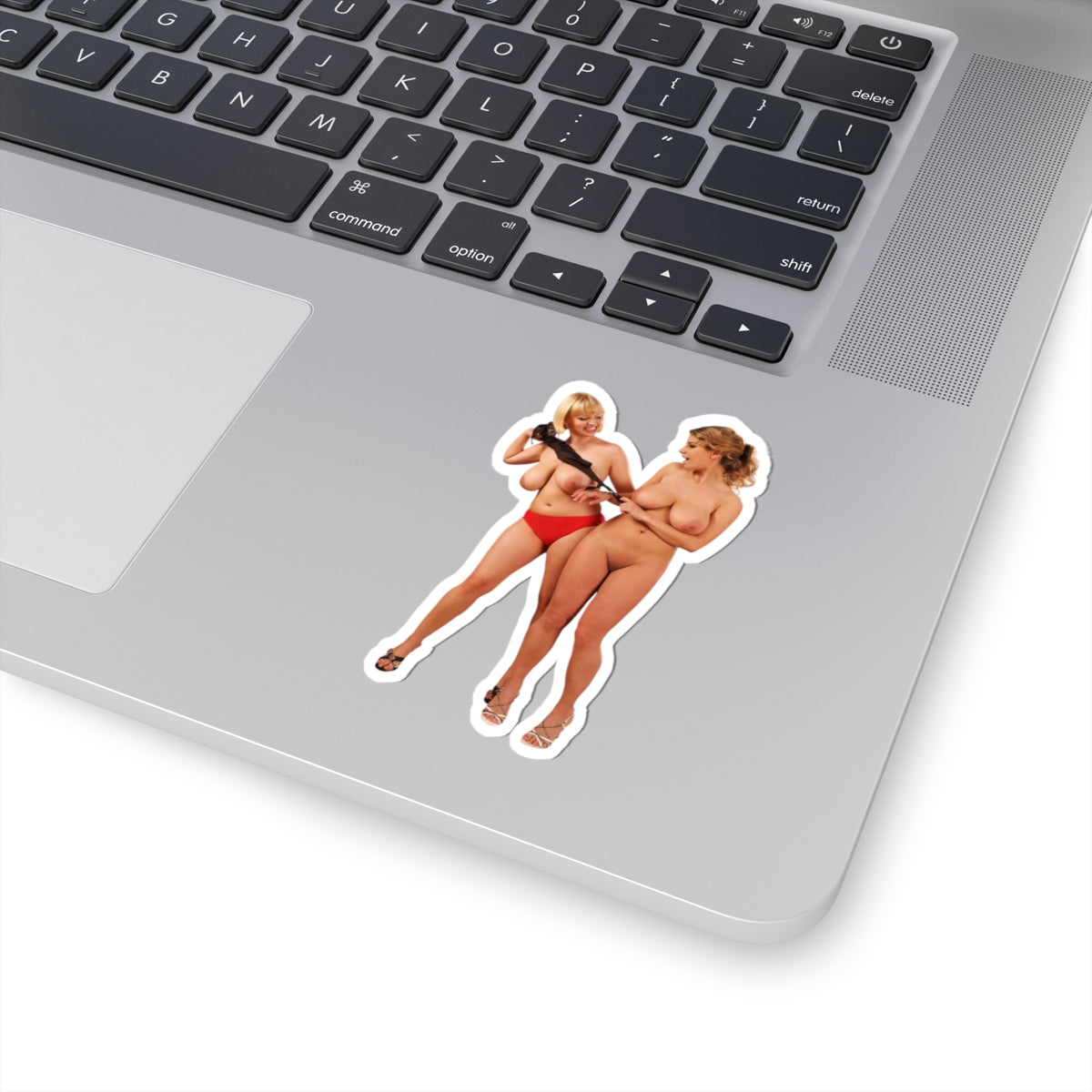 big tits girls sticker two big boobs girls stickers sexy women decals