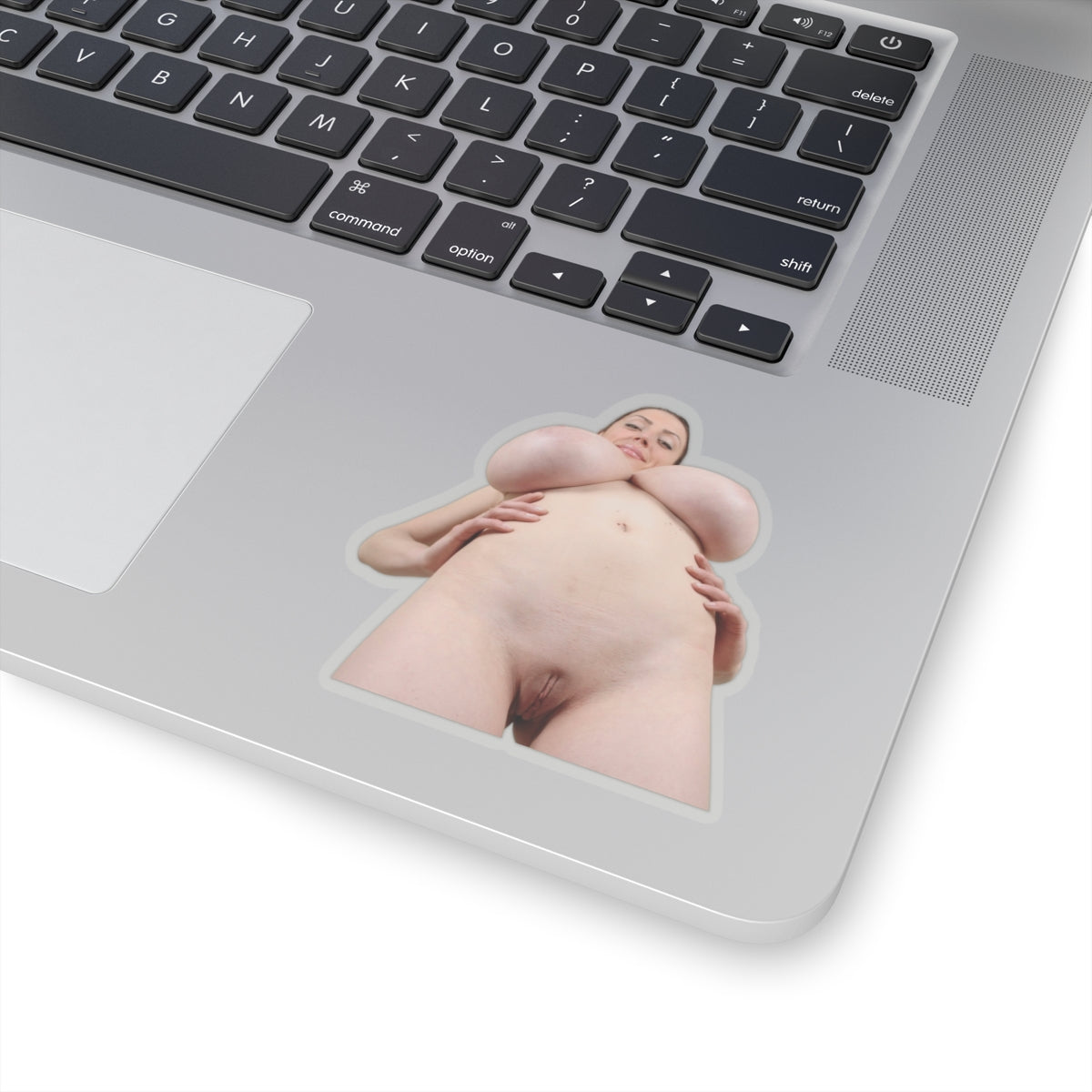 Big Tits Boobs Sexy Girl Stickers